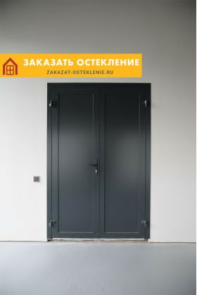 Глухая распашная дверь из черного алюминиевого профиля без стекла