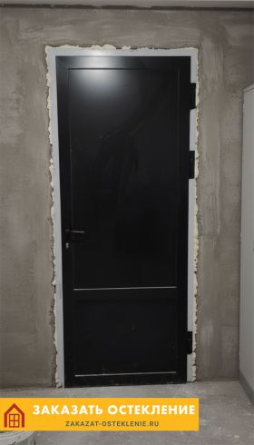 Глухая межкомнатная алюминиевая дверь черного цвета без остекления